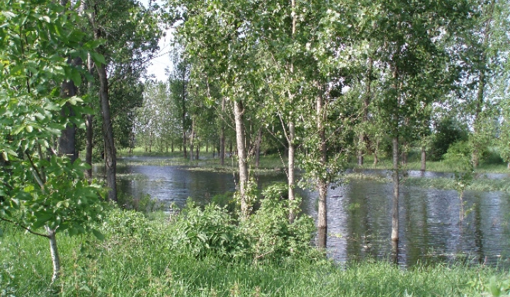 Bodzianske Lúky