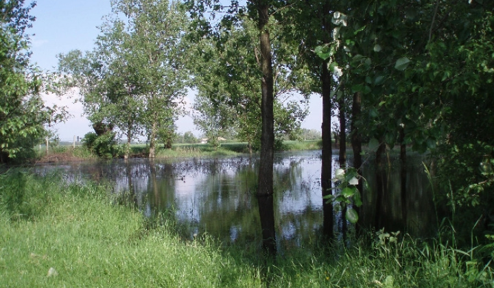 Bodzianske Lúky